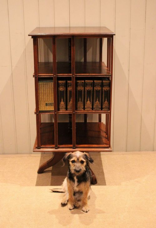 fig 1. Edwardian Walnut Revolving Bookcase