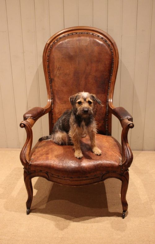 FRENCH WALNUT BALLOON BACK LEATHER CHAIR - ADDITIONAL PHOTO 4