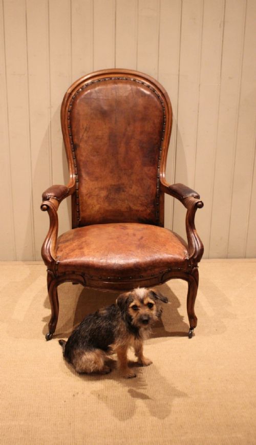 FRENCH WALNUT BALLOON BACK LEATHER CHAIR - ADDITIONAL PHOTO 8