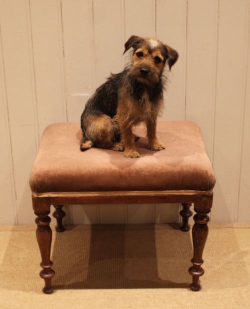 MAHOGANY UPHOLSTERED STOOL - ADDITIONAL PHOTO 7