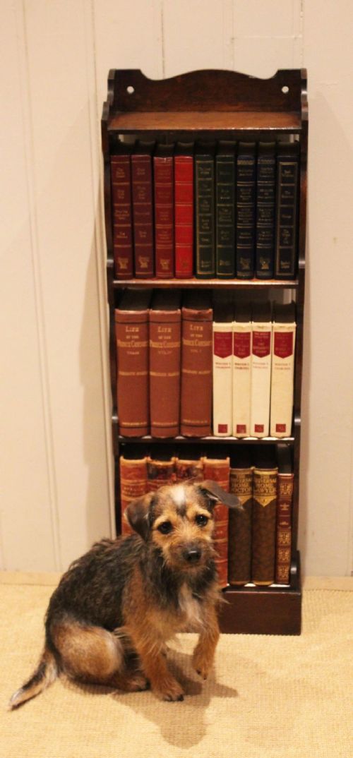 Small Oak Open Bookcase View XI