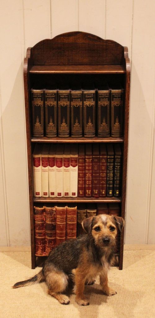 Small Proportioned Oak Open Bookcase View IX