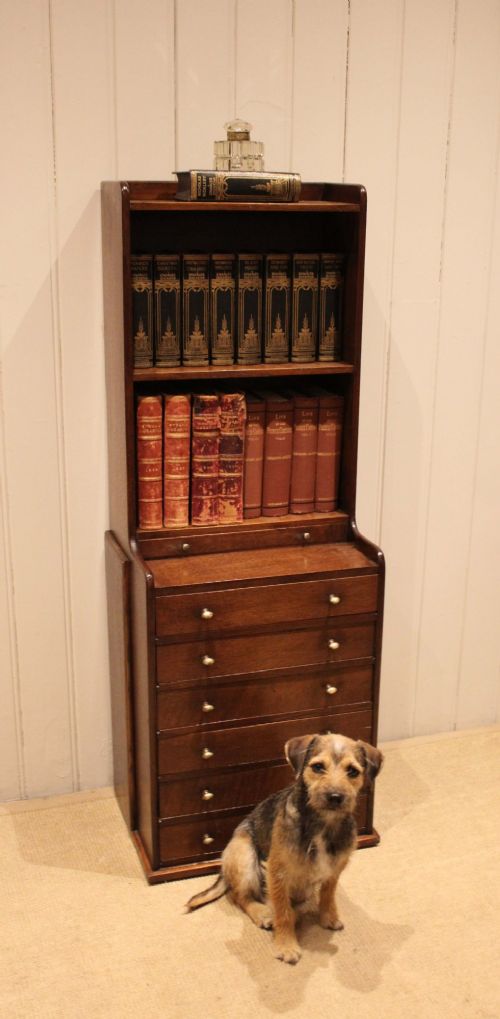 Unusual Oak Cabinet Bookcase View VII