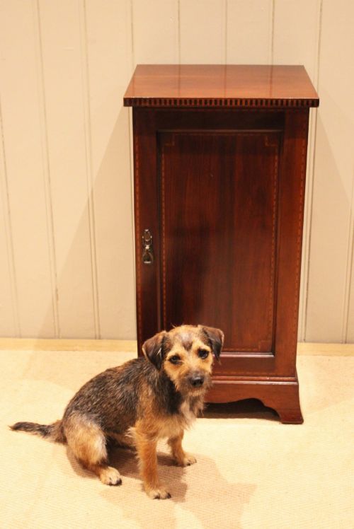 EDWARDIAN MAHOGANY BEDSIDE CABINET - ADDITIONAL PHOTO 7