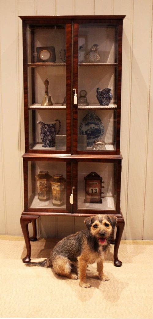 EDWARDIAN MAHOGANY DISPLAY CABINET - ADDITIONAL PHOTO 8