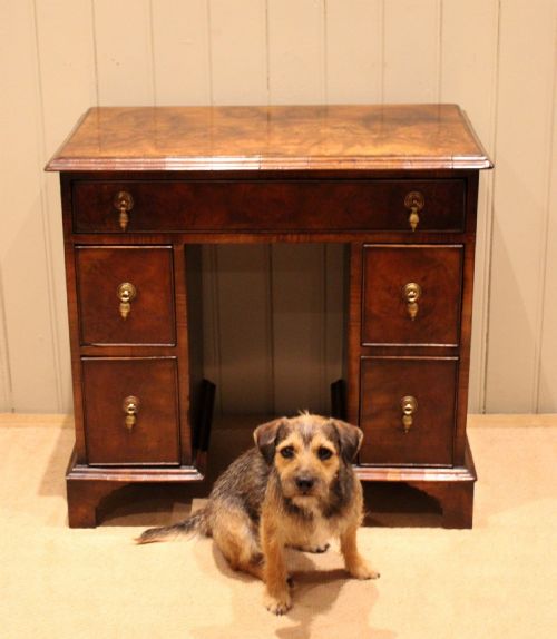 SMALL PROPORTIONED BURR WALNUT PEDESTAL DESK - ADDITIONAL PHOTO 7