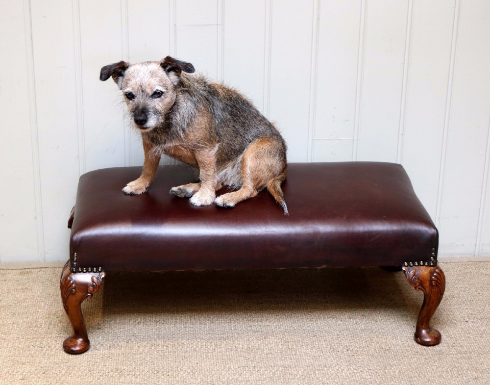 Walnut Framed Leather Footstool  View V