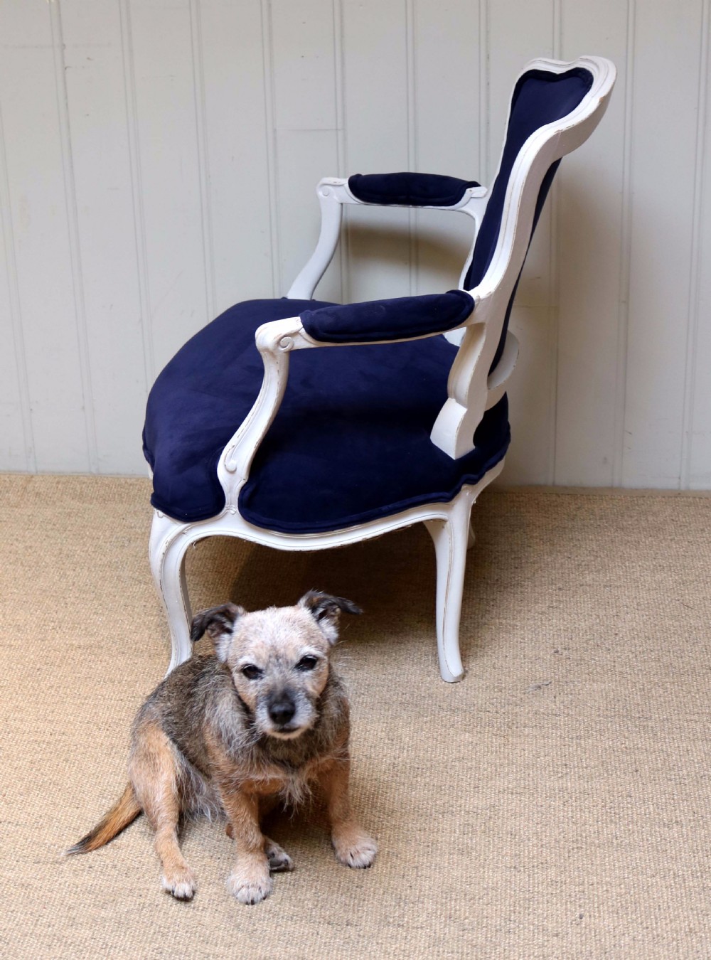 French Painted Armchair  View IV