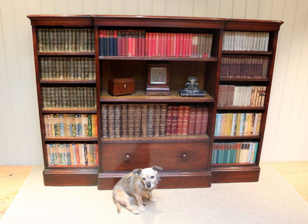 Large Victorian Mahogany Open Bookcase View VII