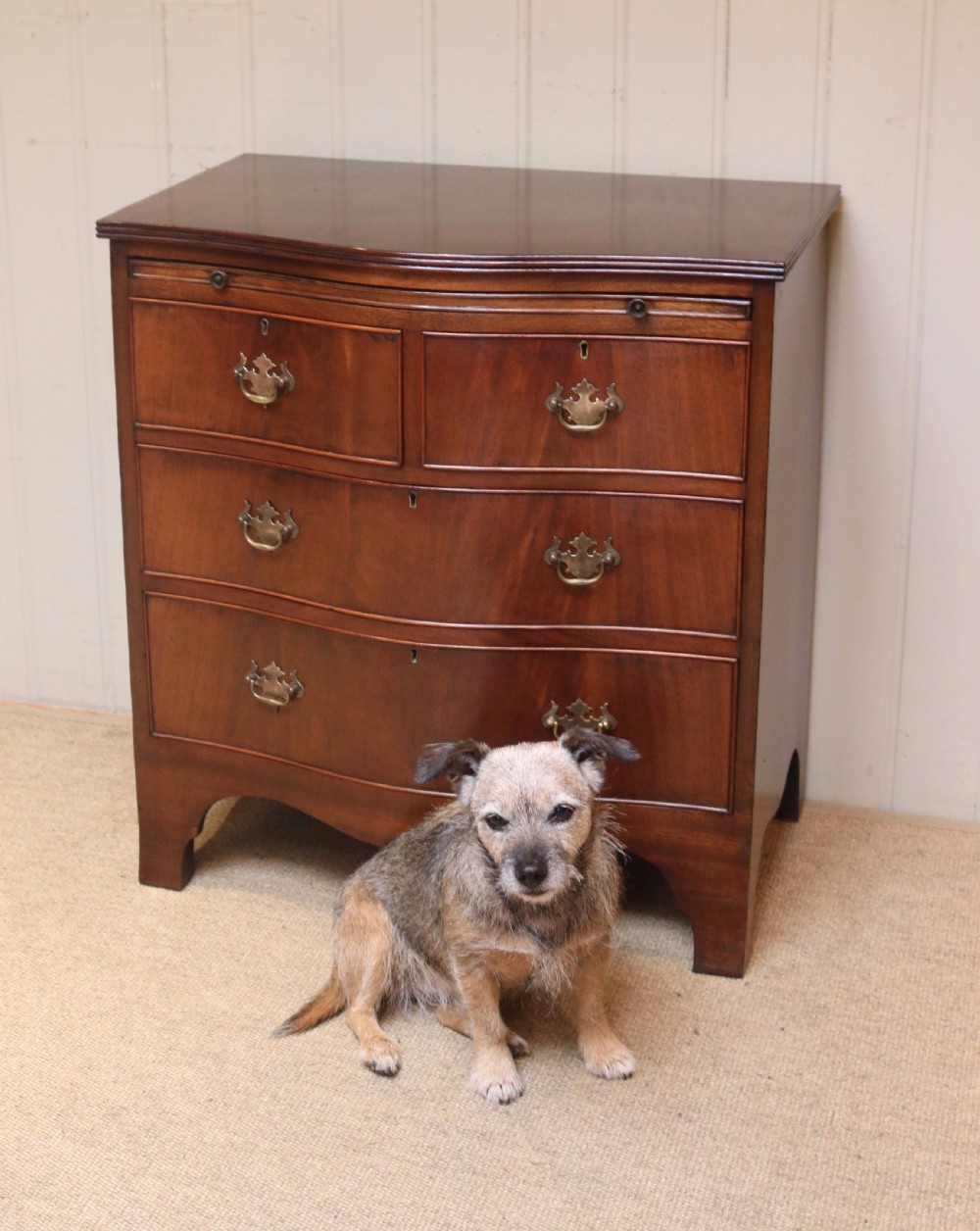 Mahogany Serpentine Front Chest Of Drawers  View VI