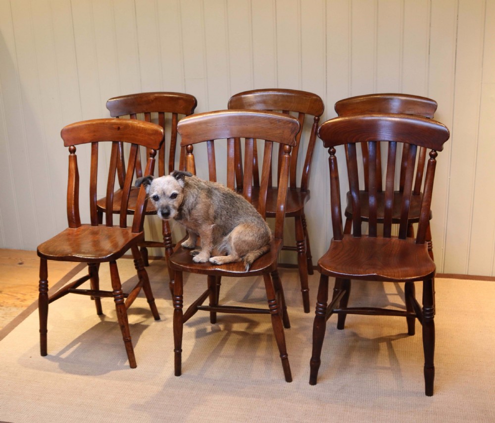 Matched Set Of Six Beech And Elm Windsor Chairs View III