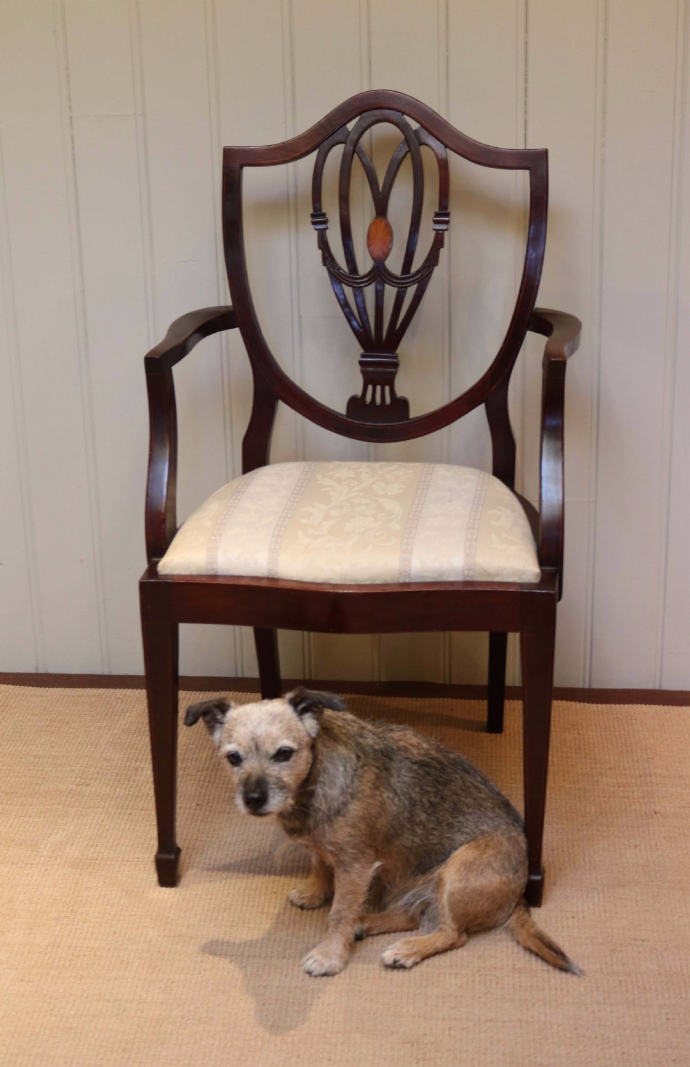 Edwardian Mahogany Shield Back Carver Chair View III