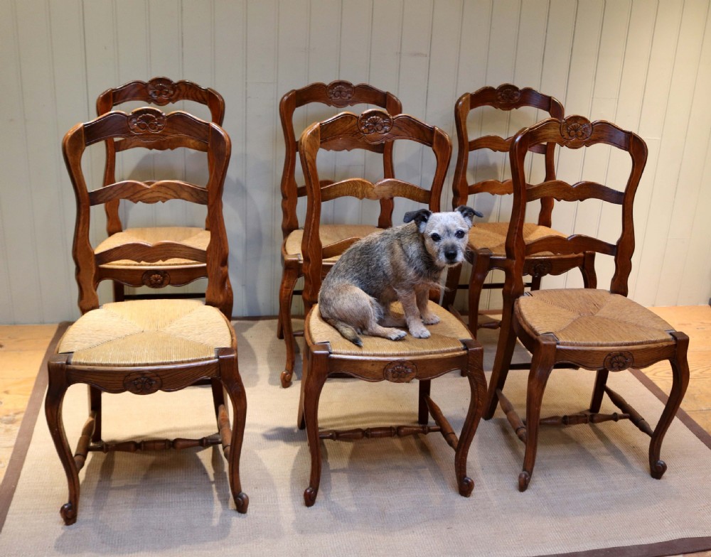 Set of Six French Oak Dining Chairs View III
