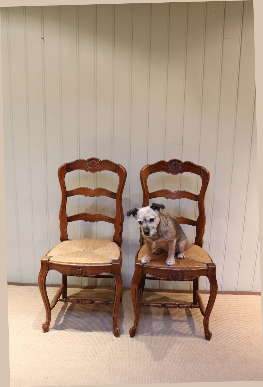 Set of Six French Oak Dining Chairs View VII