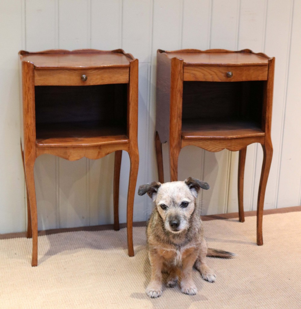 Pair of French Oak Bedside Cabinets  View V