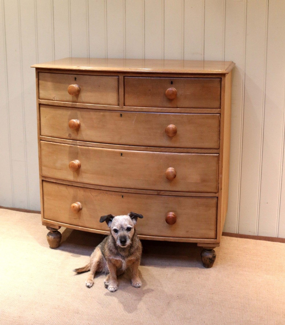 Victorian Pine Bow Front Chest of Drawers View VII