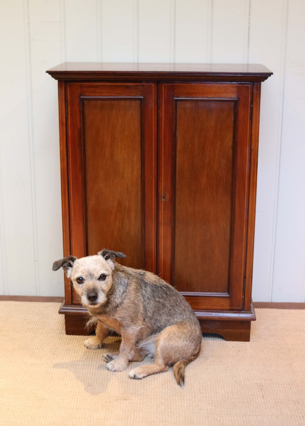 Small Edwardian Mahogany Cabinet  View VII