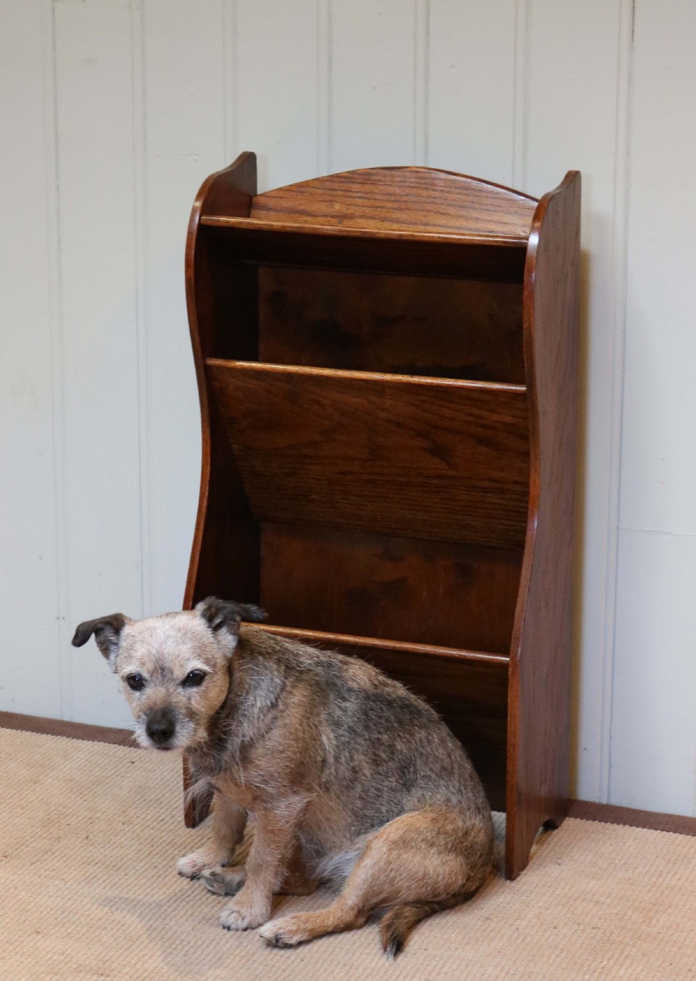 Edwardian Oak Magazine Stand  View VIII