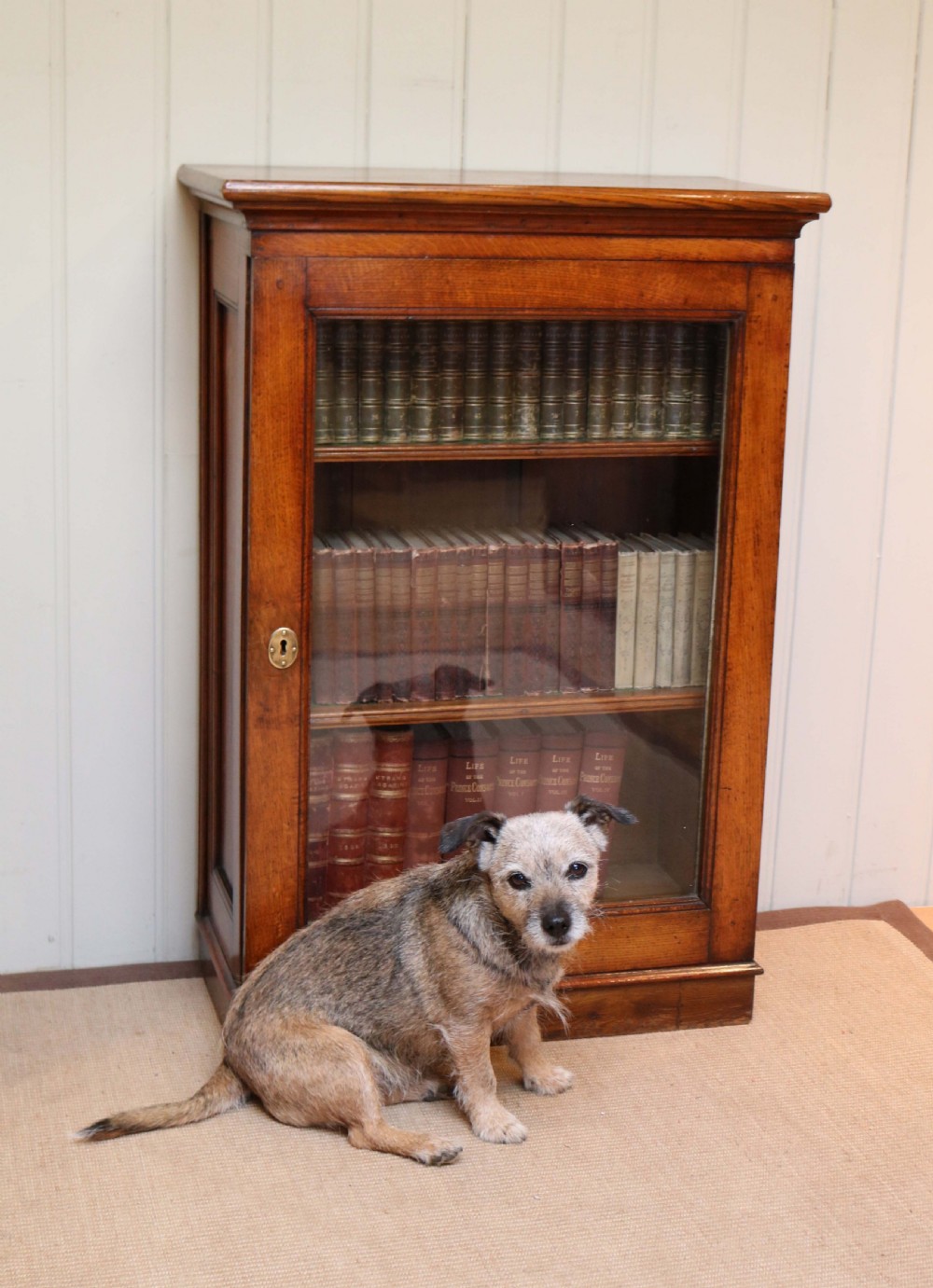 Small Edwardian Oak Bookcase View IX