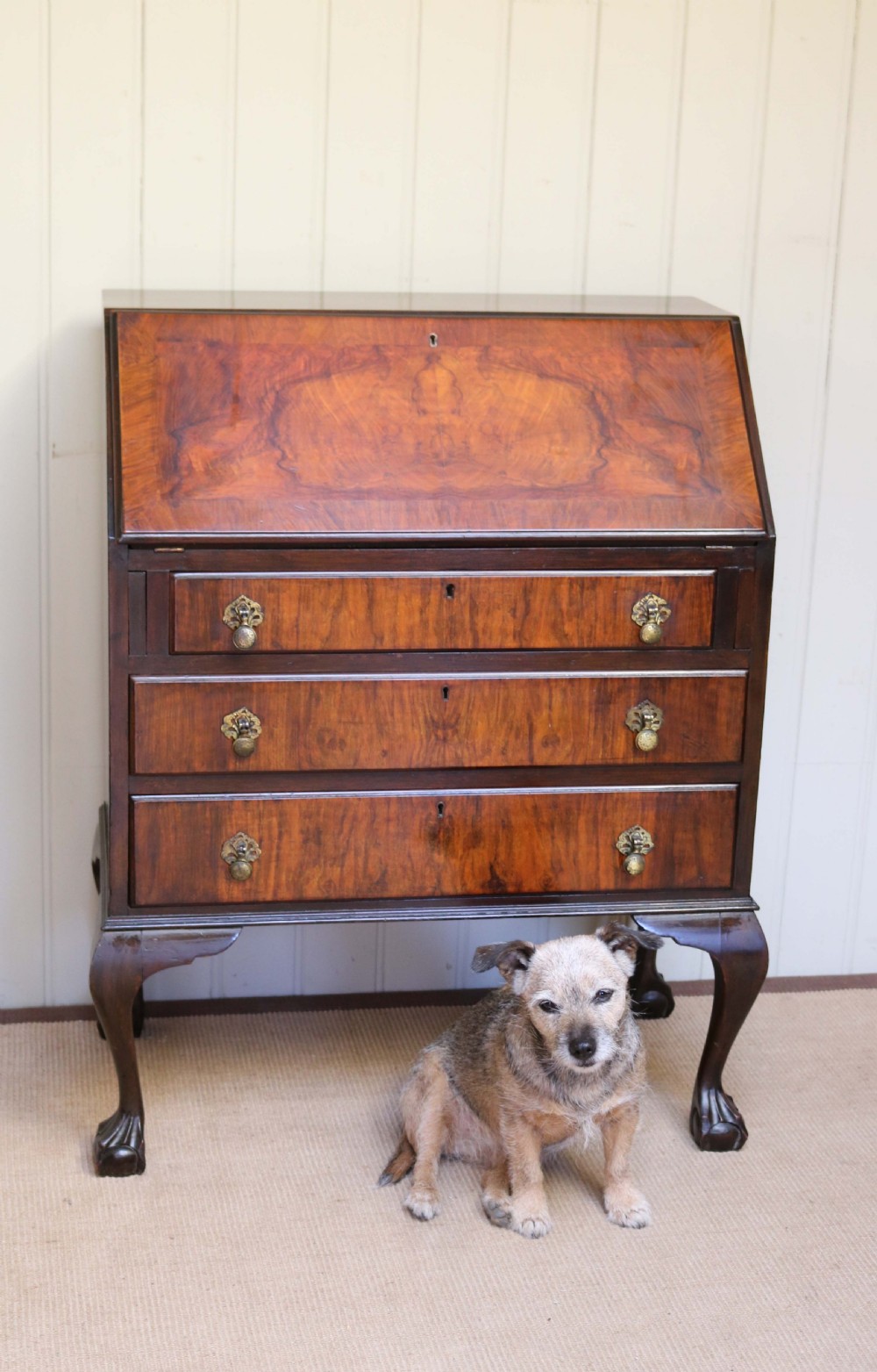 Queen Anne Style Walnut Bureau View VII
