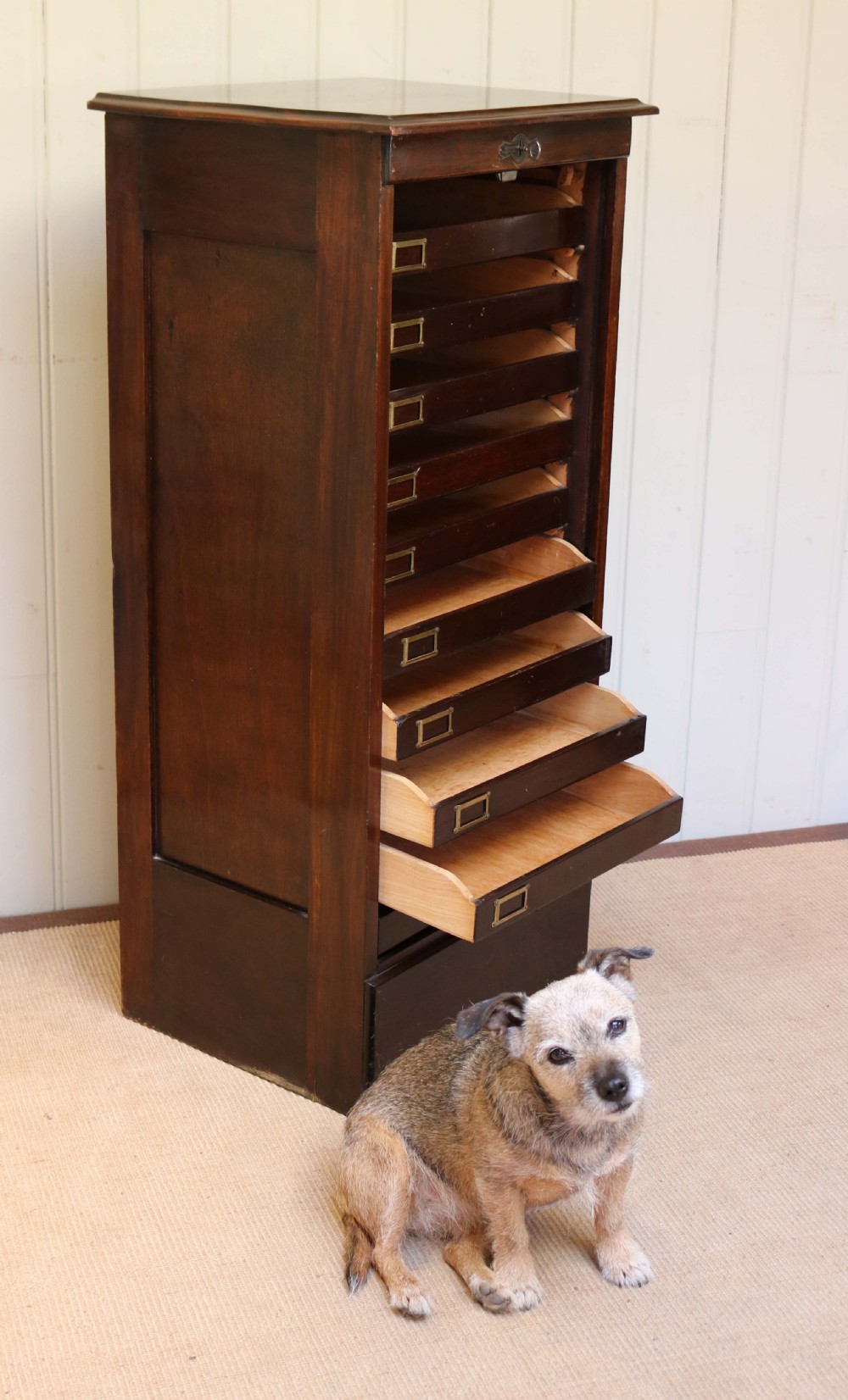 Mahogany Single Tambour Front Filing Cabinet  View VI