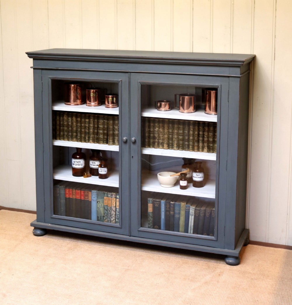 Late 19th Century Painted Glazed Bookcase View VI