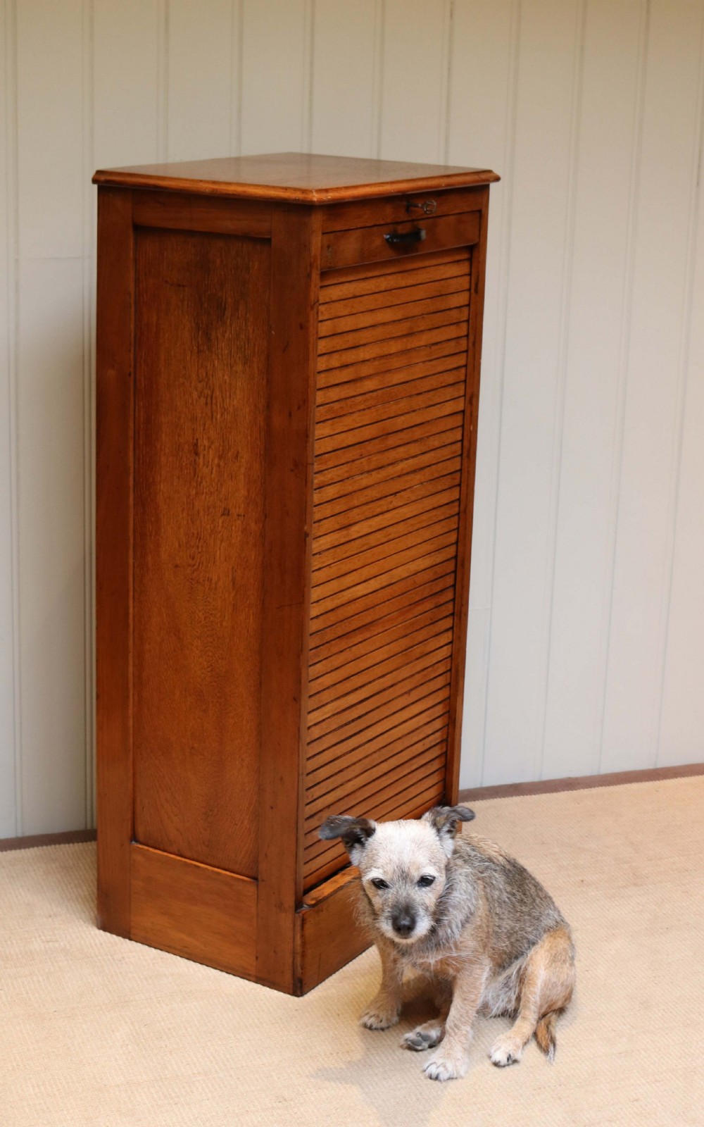 Golden Oak Tambour Front Filing Cabinet View VII