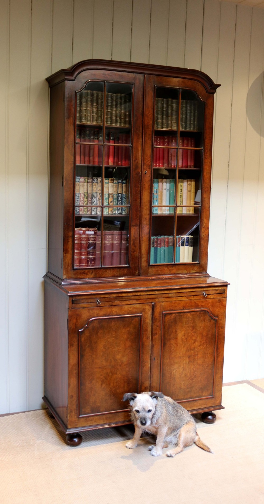 Walnut Cabinet Bookcase View VII