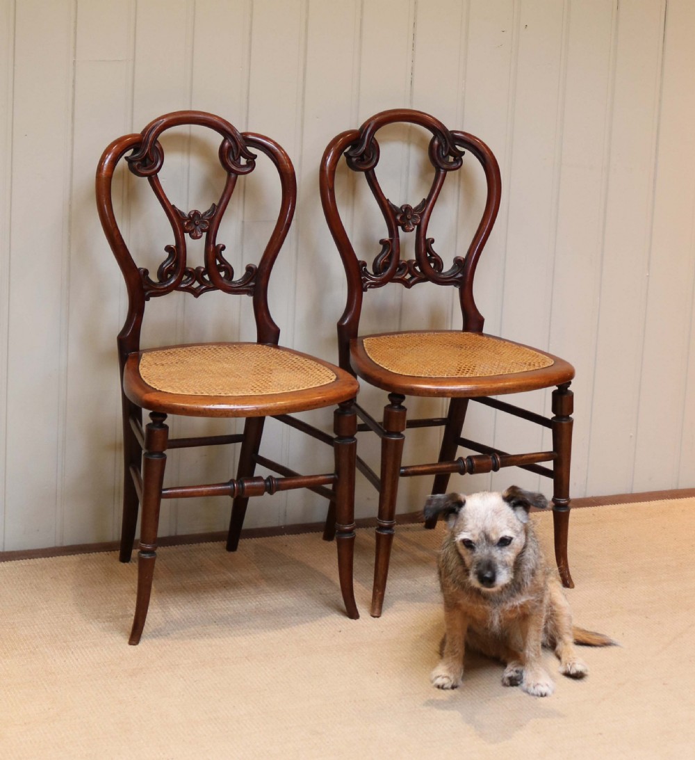 Pair Of Victorian Walnut Cane Seat Chairs  View III
