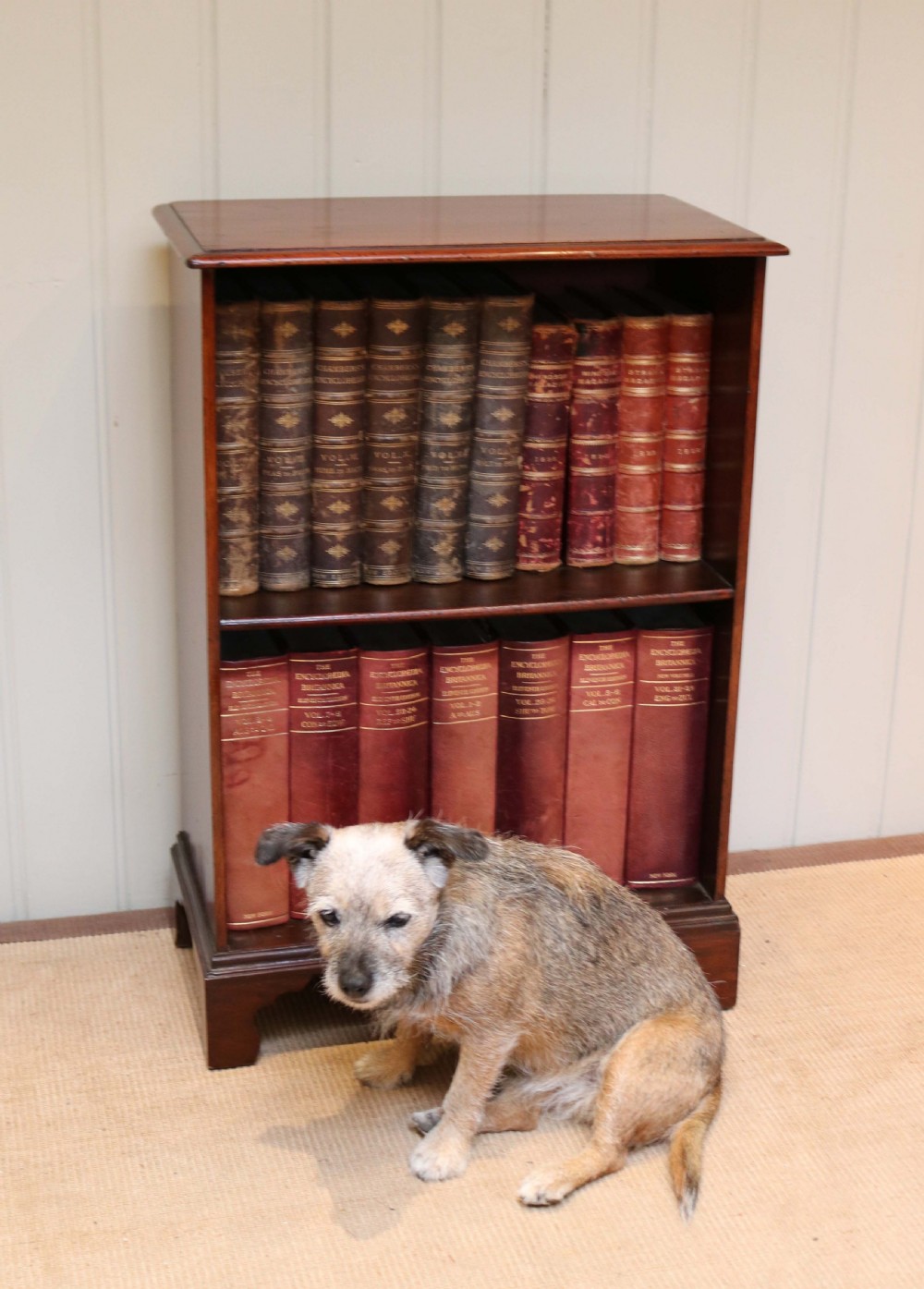 Small Proportioned Mahogany Bookcase View VII