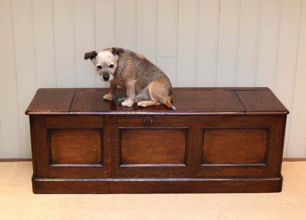 Long Solid Oak Coffer View IV