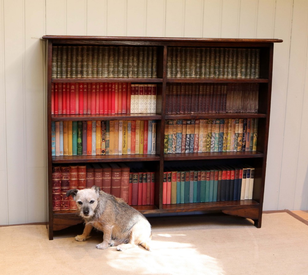 Oak Double Front Open Bookcase View VIII