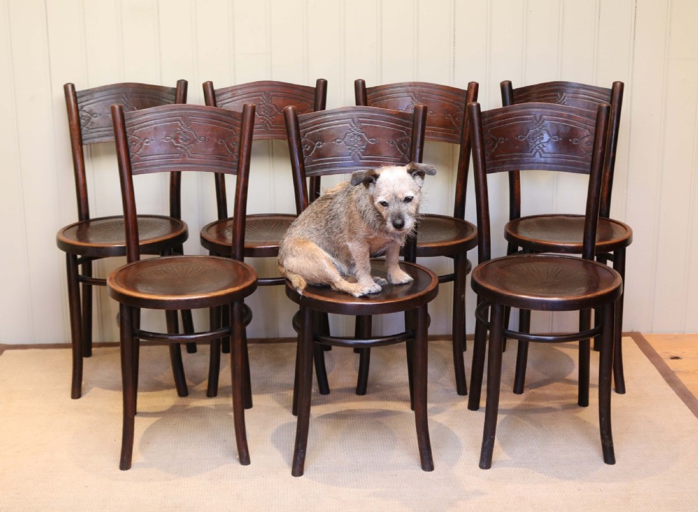 Set Of Bentwood Dining Chairs  View III