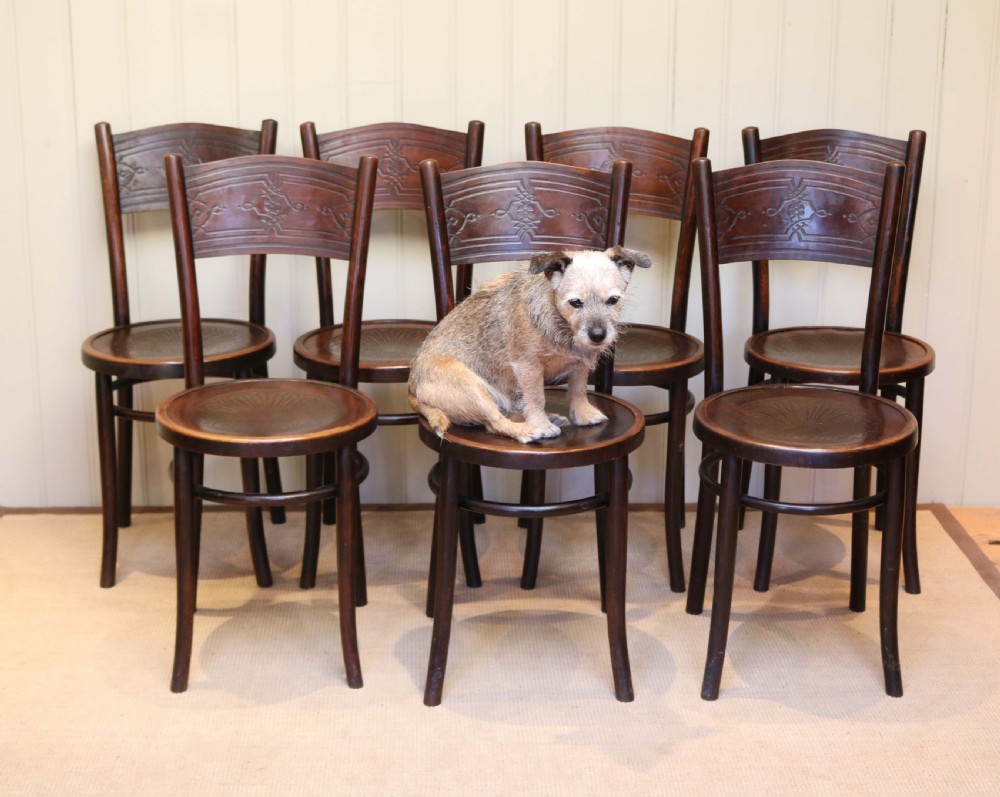 Set Of Bentwood Dining Chairs  View VII
