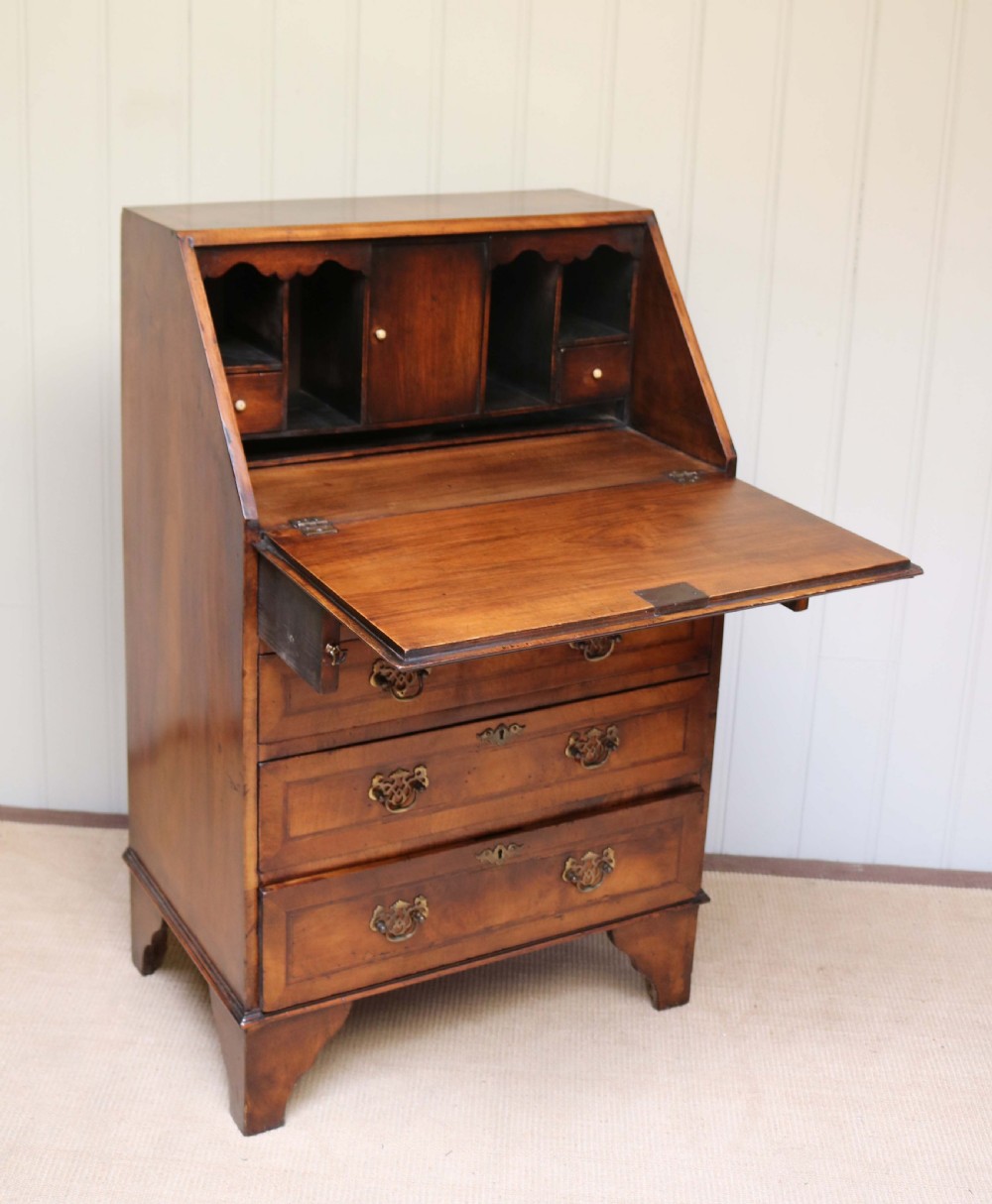 Burr Walnut Bureau View IV