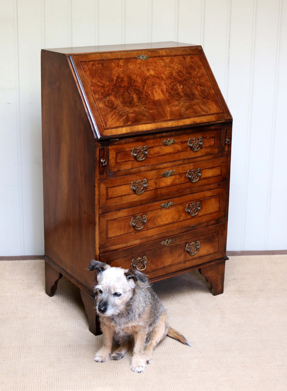 Burr Walnut Bureau View VIII