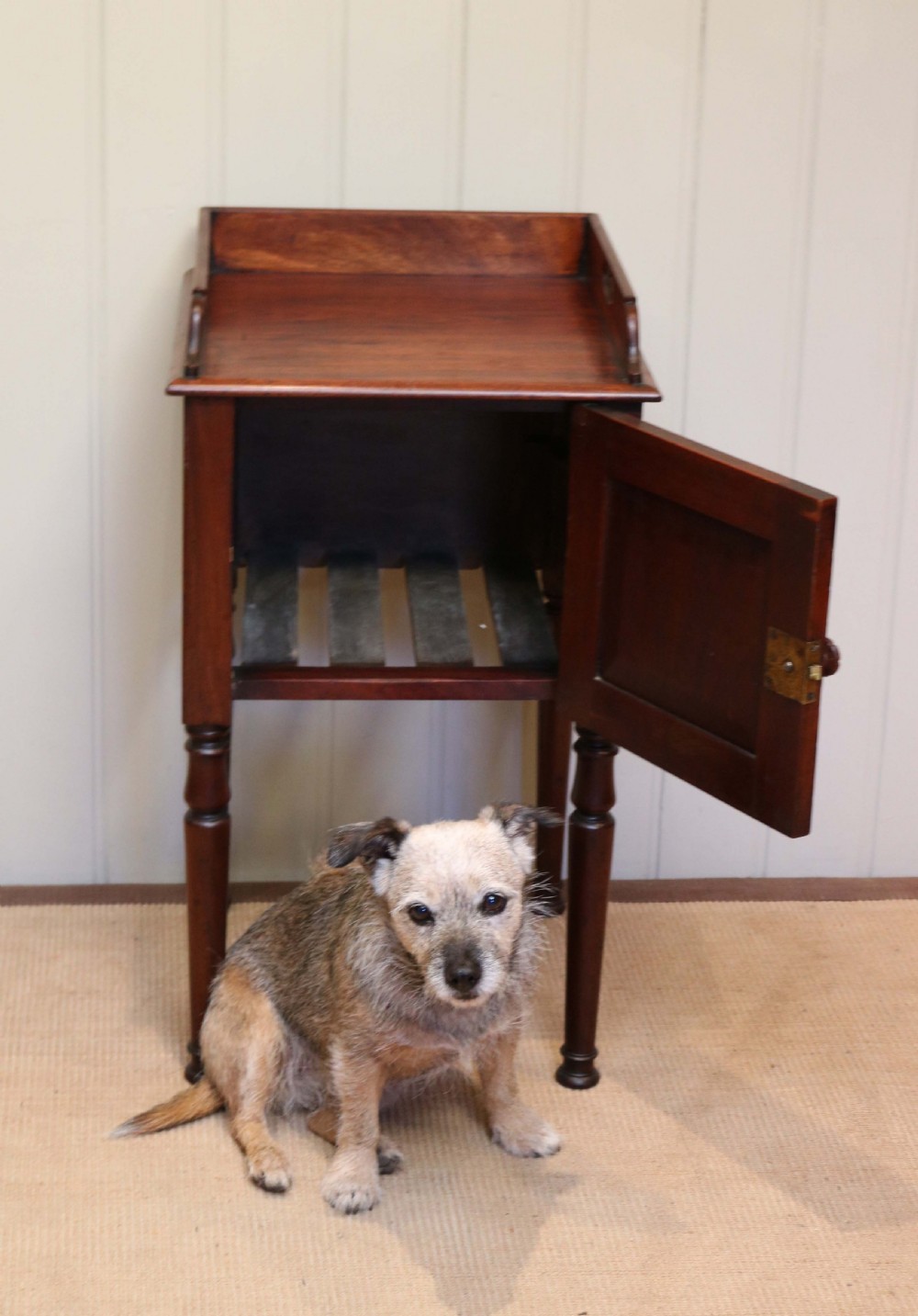 Mahogany Pot Cupboard View III