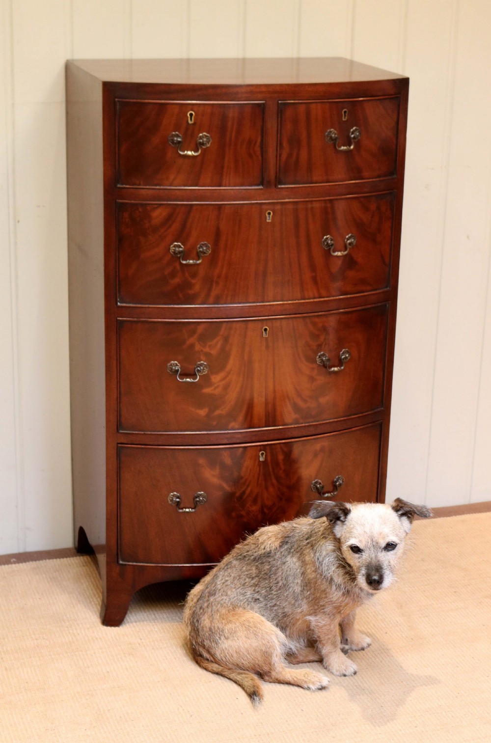 Tall Mahogany Bow Front Chest Of Drawers View VIII