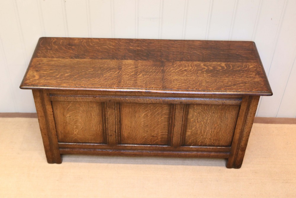 1920s Solid Oak Coffer View V