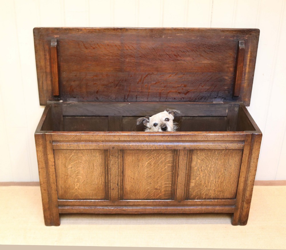 1920s Solid Oak Coffer View VI
