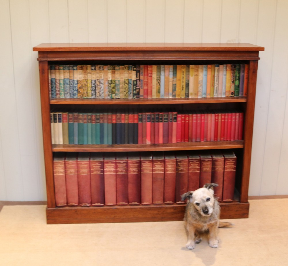 Victorian Open Mahogany Bookcase View V