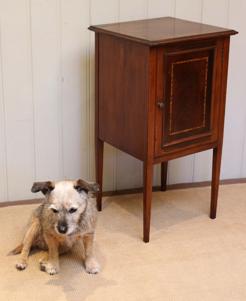 Edwardian Inlaid Mahogany Pot Cupboard View VI