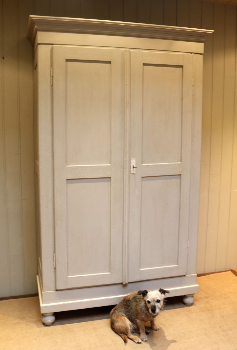 Large Painted Continental Wardrobe  View VII