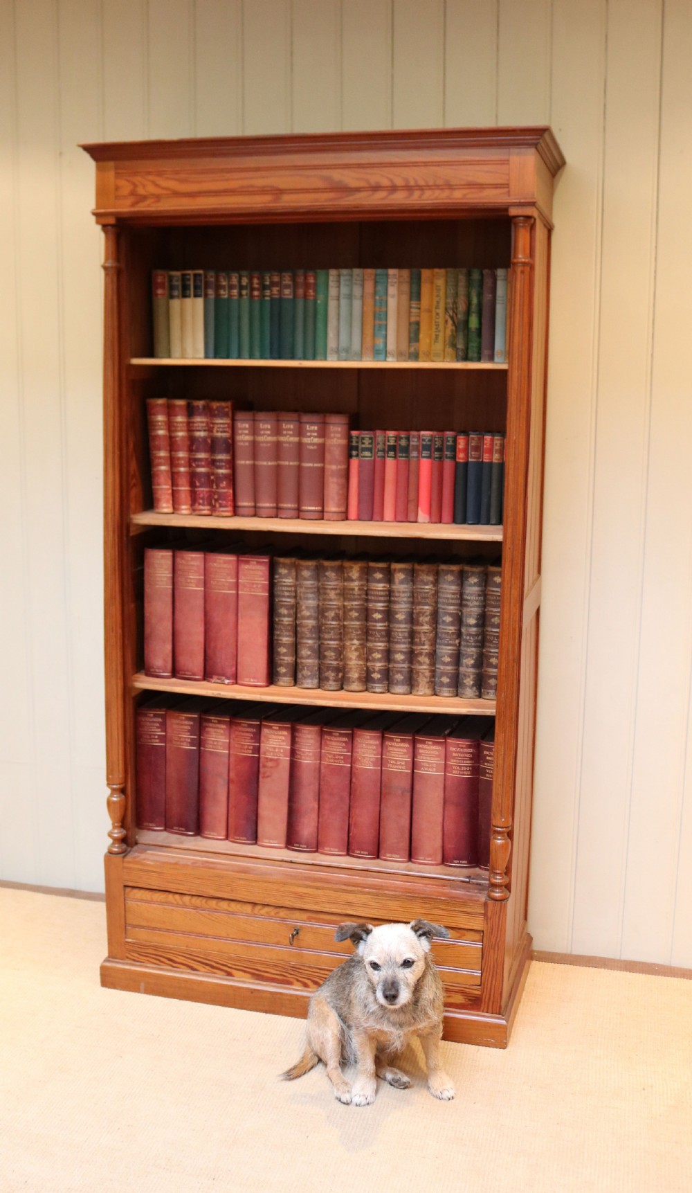 Tall Pitch Pine Open Bookcase View VII
