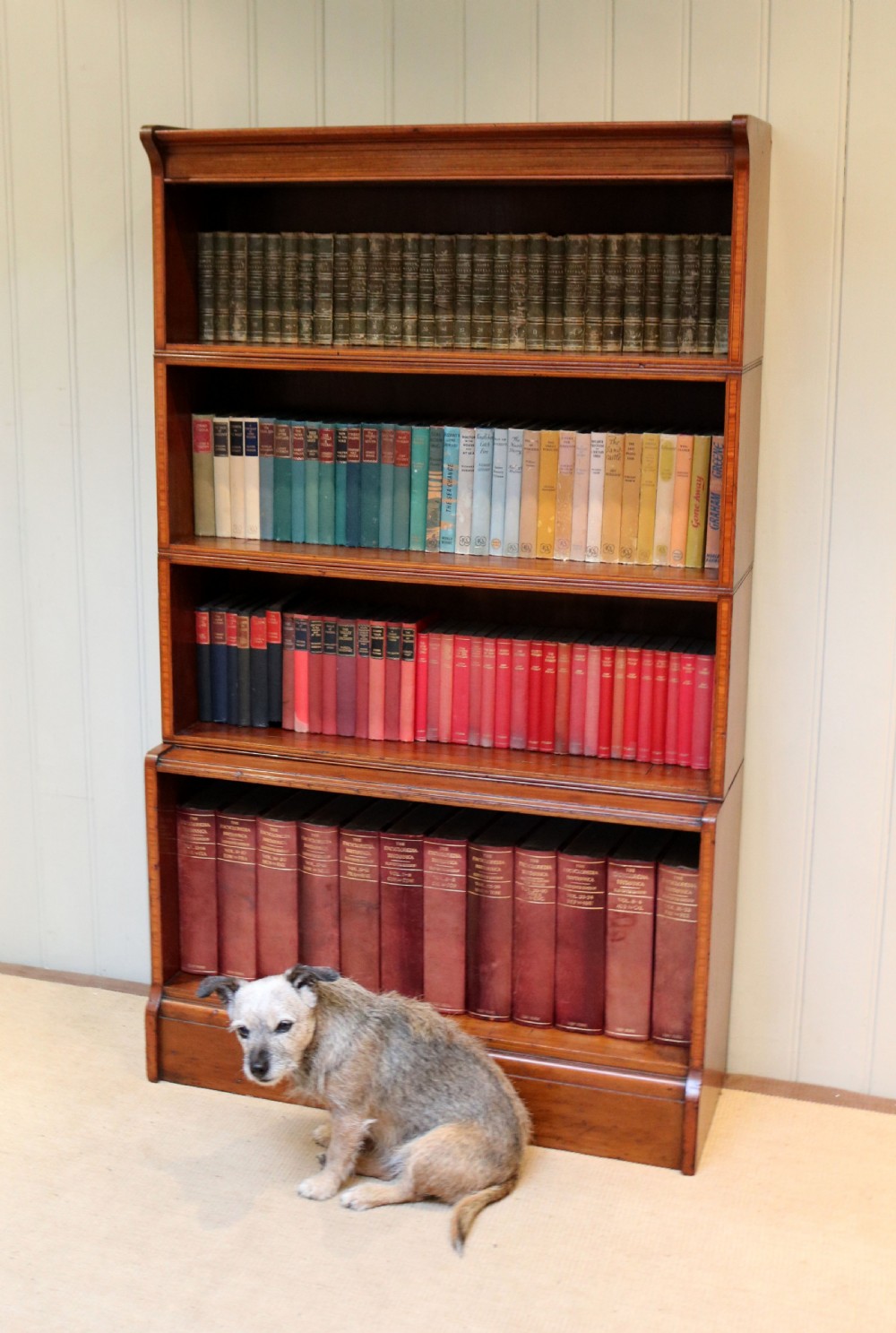 Edwardian Mahogany Open Bookcase View V