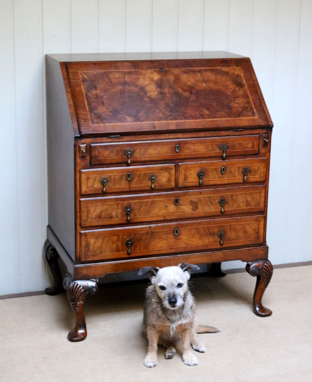 Walnut Bureau  View V