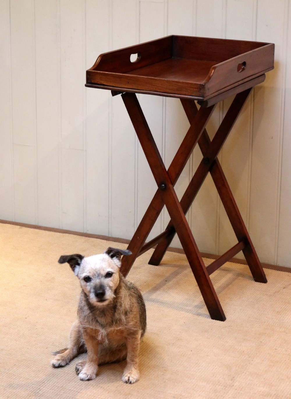 Late 19th Century Mahogany Butlers Tray  View II