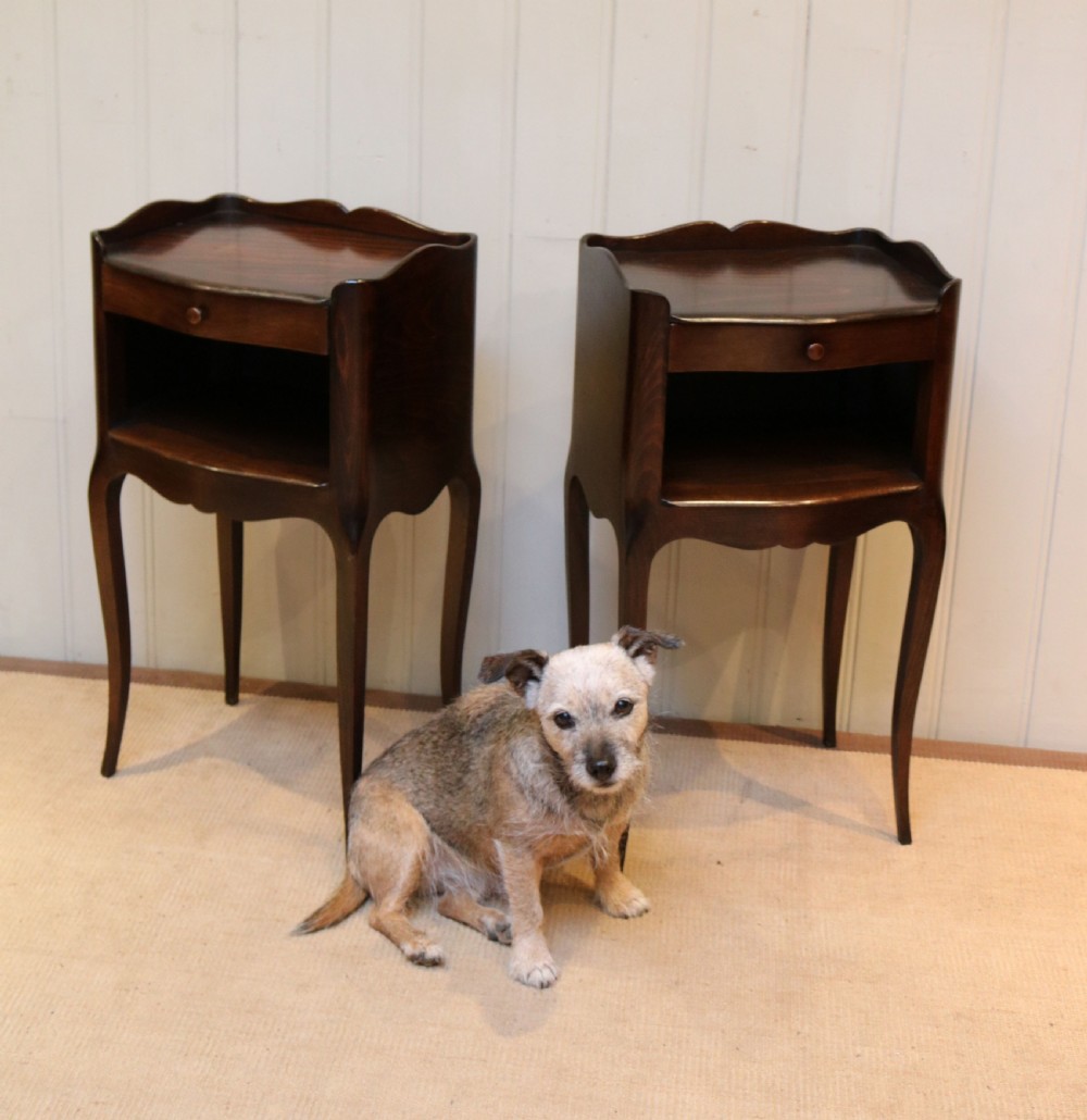 Pair Of French Beech Wood Bedside Cabinets View VII