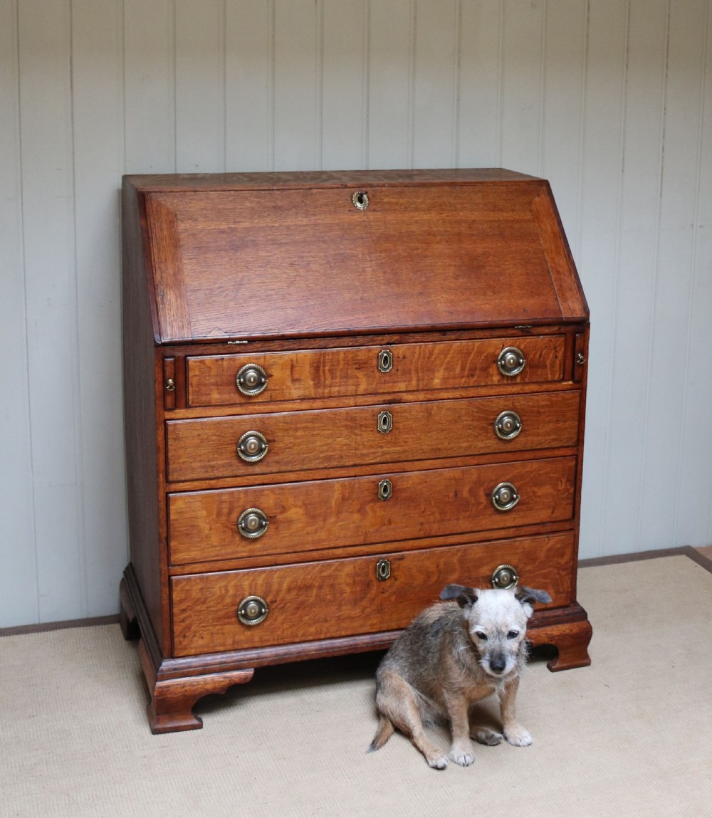 George III Oak Bureau  View V