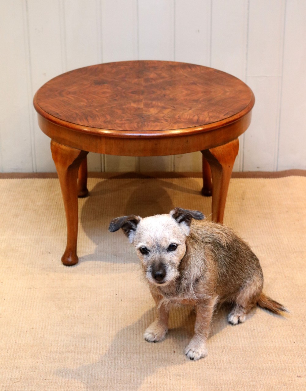 Walnut Low Circular Table View VII